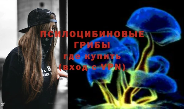 гидропоника Дмитров