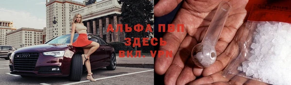 дмт Дмитриев