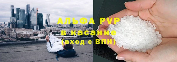 дмт Дмитриев