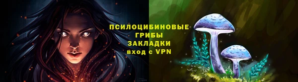 гидропоника Дмитров