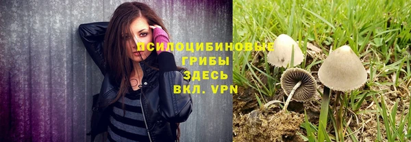 дмт Дмитриев