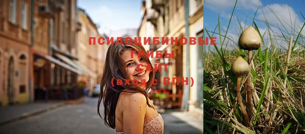 дмт Дмитриев
