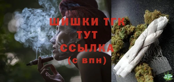 дмт Дмитриев