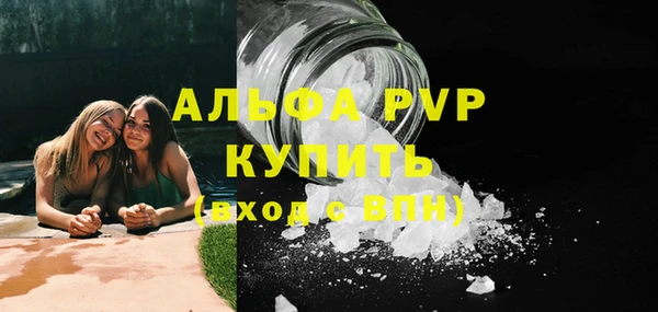 дмт Дмитриев